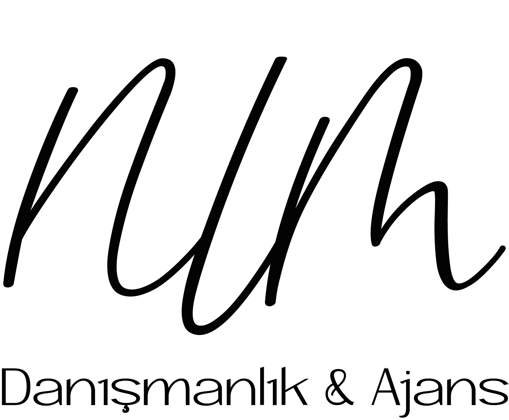 NLM Danışmanlık