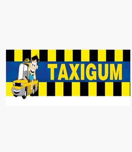 Taxıgum